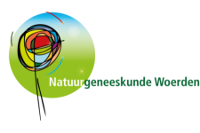 Logo voor Natuurgeneeskunde Woerden Logo voor Natuurgeneeskunde Woerden